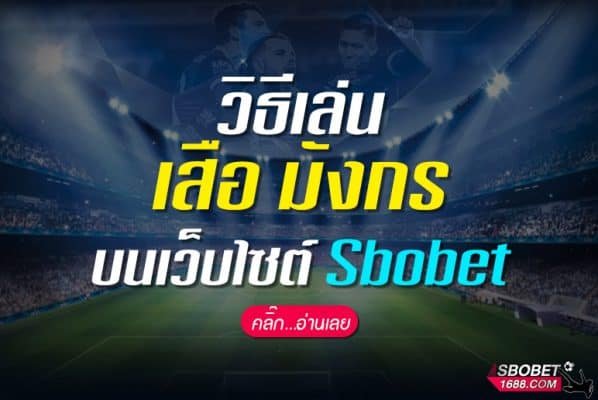 วิธีเล่น เสือ มังกร บนเว็บไซต์ Sbobet