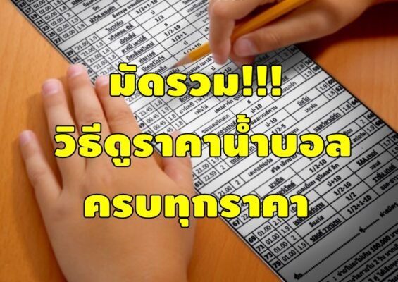 วิธีดูราคาน้ำบอล ละเอียดที่สุด